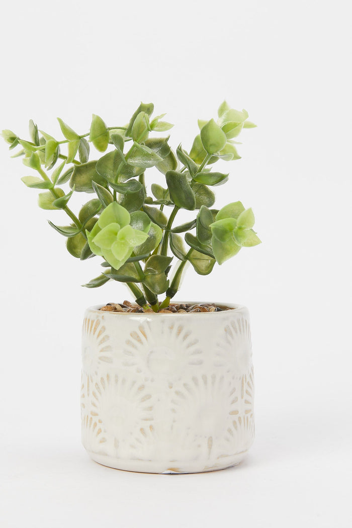 Redtag-Artificial-Cluster-Leaf-In-Ceramic-Embossed-Pot-Category:Plants-&-Flowers,-Colour:Green,-Deals:New-In,-Filter:Home-Decor,-H1:HMW,-H2:HOM,-H3:DEA,-H4:DCA,-HMW-HOM-Decorative-Accessories,-New-In-HMW-HOM,-Non-Sale,-Promo:JULIETTE,-S23B,-Season:S23B,-Section:Homewares,-Style:ACCENT-FLOWER-Home-Decor-